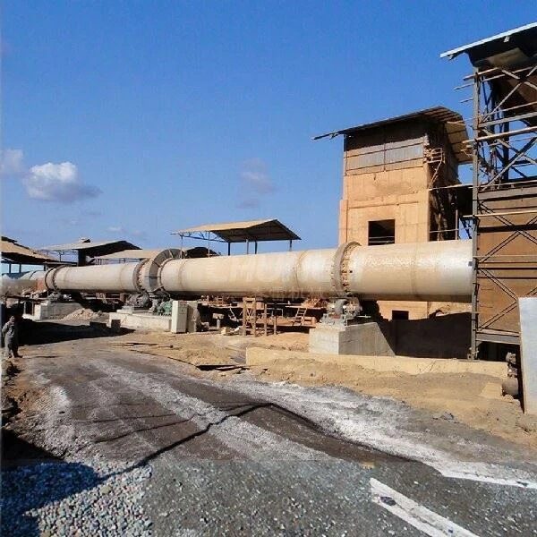 Medical Waste Rotary Kiln suppliers
